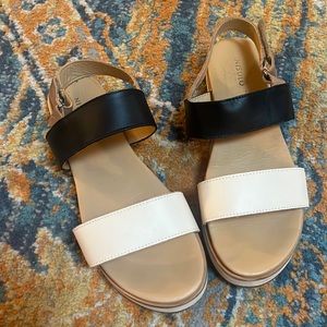 Anthropology Sandle